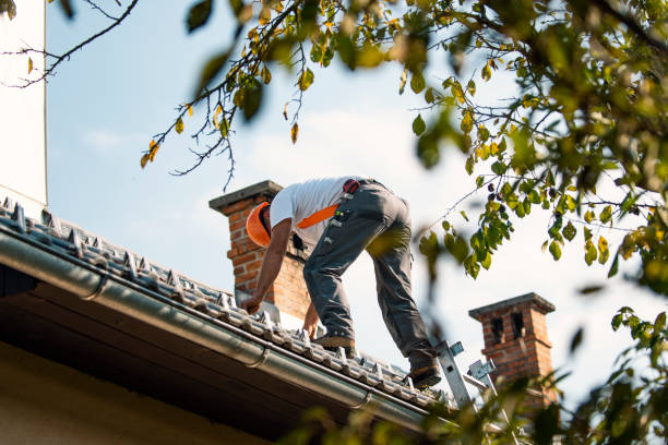 Best Residential Roofing Contractor  in Springville, VA