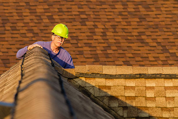 Best Roof Replacement Cost  in Springville, VA