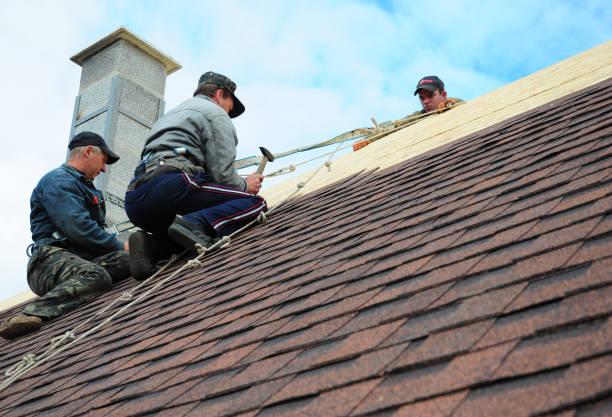 Best Roofing Contractor Near Me  in Springville, VA